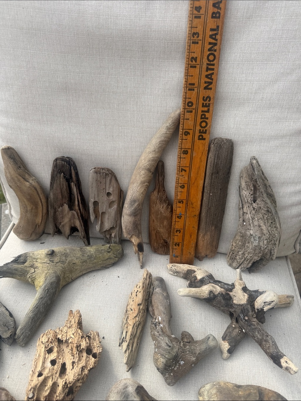 For LYNDA 19 pc (5 lb shipped) Natural Driftwood for Craft, Projects, Upcycle - Picture 15 of 16